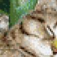 Preview of cross stitch pattern: #560928