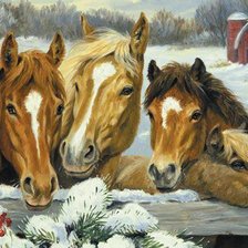 Cross stitch pattern: #560930