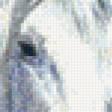 Preview of cross stitch pattern: #560952