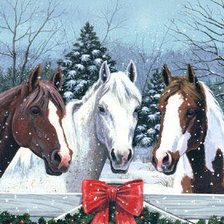 Cross stitch pattern: #560952