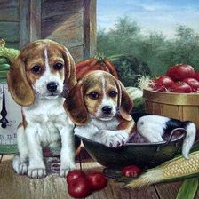 Cross stitch pattern: #560970