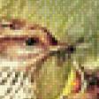 Preview of cross stitch pattern: #560977