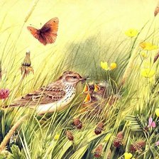 Cross stitch pattern: #560977