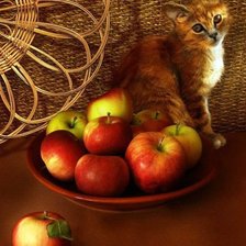 Cross stitch pattern: #561249