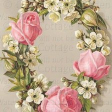 Cross stitch pattern: #561251