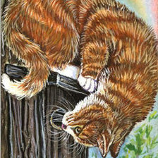 Cross stitch pattern: #561788