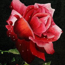 Cross stitch pattern: #562044