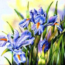 Cross stitch pattern: #562076