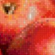 Preview of cross stitch pattern: #562091