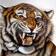 Cross stitch pattern: #562134