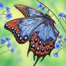 Cross stitch pattern: #562249