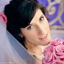 Cross stitch pattern: #562429