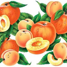 Cross stitch pattern: #562449