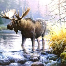 Cross stitch pattern: #562699