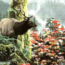 Cross stitch pattern: #562703