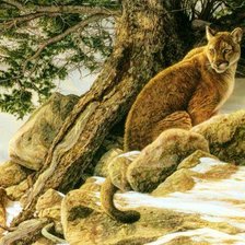 Cross stitch pattern: #562710