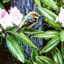 Cross stitch pattern: #562794
