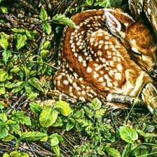 Cross stitch pattern: #562795