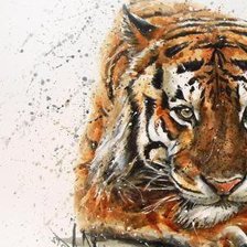 Cross stitch pattern: #562815