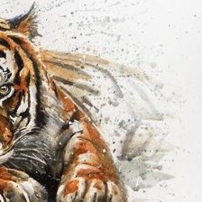 Cross stitch pattern: #562816