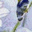 Preview of cross stitch pattern: #562890