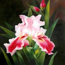 Cross stitch pattern: #562900
