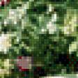 Preview of cross stitch pattern: #562901