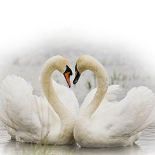 Cross stitch pattern: #562915