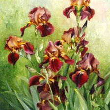 Cross stitch pattern: #562945
