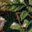 Preview of cross stitch pattern: #562950