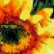 Preview of cross stitch pattern: #562970