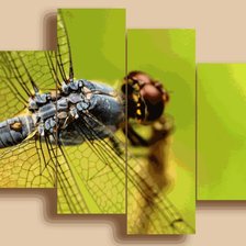 Cross stitch pattern: #563002