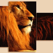 Cross stitch pattern: #563007