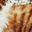 Preview of cross stitch pattern: #563009