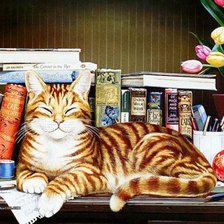 Cross stitch pattern: #563013