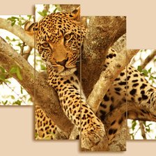 Cross stitch pattern: #563020