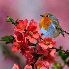 Cross stitch pattern: #563027
