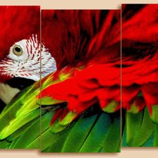 Cross stitch pattern: #563040