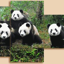 Cross stitch pattern: #563076