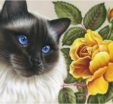 Cross stitch pattern: #563085