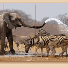 Cross stitch pattern: #563107