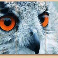 Cross stitch pattern: #563115