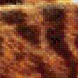 Preview of cross stitch pattern: #563229