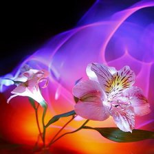 Cross stitch pattern: #563246