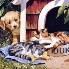 Cross stitch pattern: #563252