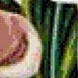 Preview of cross stitch pattern: #563277
