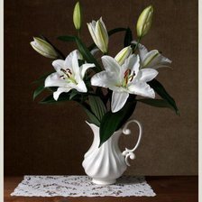 Cross stitch pattern: #563281