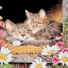 Cross stitch pattern: #563286