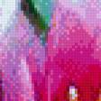 Preview of cross stitch pattern: #563293