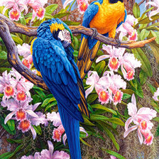 Cross stitch pattern: #563341